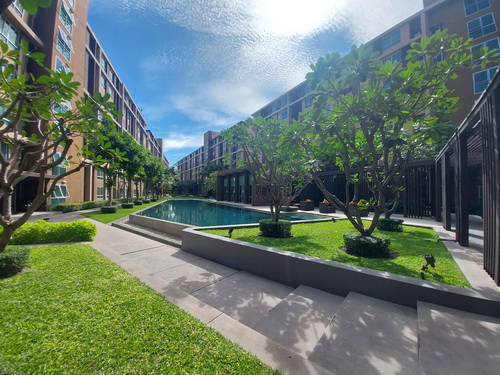 รูปหลัก_resize_resize-19